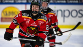 Ny seger för Luleå Hockey/MSSK – så var matchen minut för minut