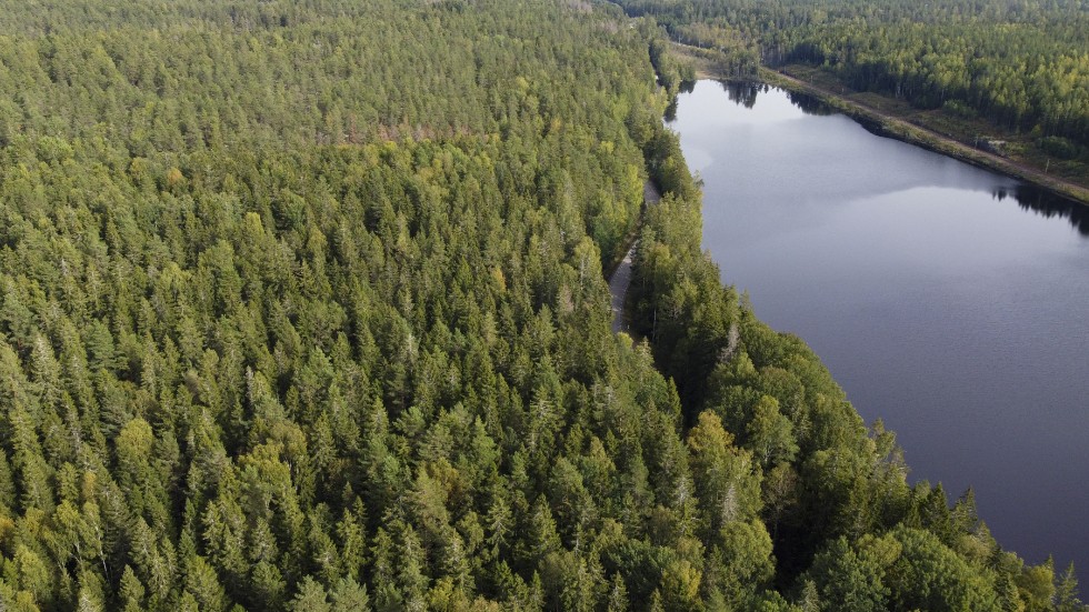 Det är inte tillåtet att vistas i skog och mark i en stor så kallad skyddad zon i Västmanland.