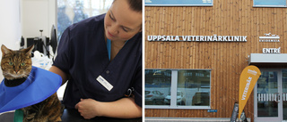 Här har Uppsalas nyaste veterinärklinik öppnat – i jättelokaler