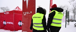 Strejkdrabbad småländsk Teslaleverantör varslar: "Onödigt"