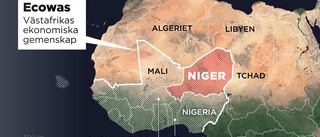 Ecowas: Plan klar för ingripande i Niger