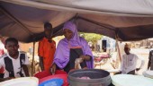 Frankrike drar in bistånd till Niger