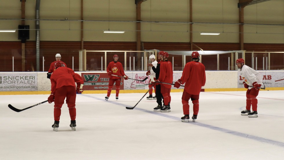 Här Tränar Nhl Stjärnorna Med Almtuna