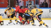 Bildspel: Se bilderna från Luleå Hockeys första match