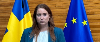 Många svenskar utan stöd efter dådet – toppolitikern berättar