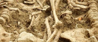 Skelettdelar hittades i Björklinge