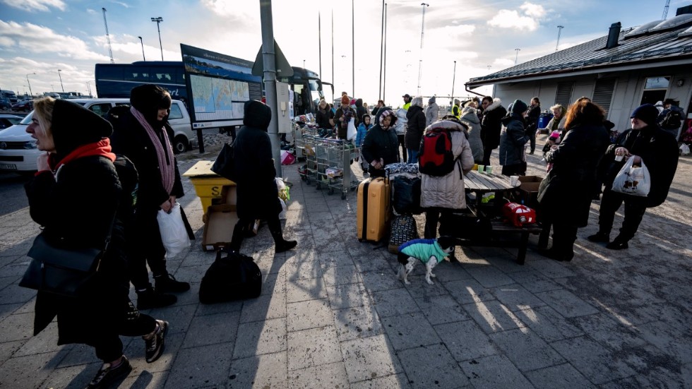 Många svenskar har engagerat sig för att hjälpa de ukrainska flyktingar som anlänt till Sverige.