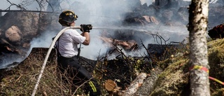 Skogsbrand i Enköping