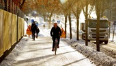 Vill bli Sveriges bästa cykelstad