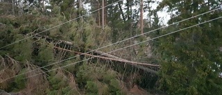 Länsbor får vänta på elen i en vecka