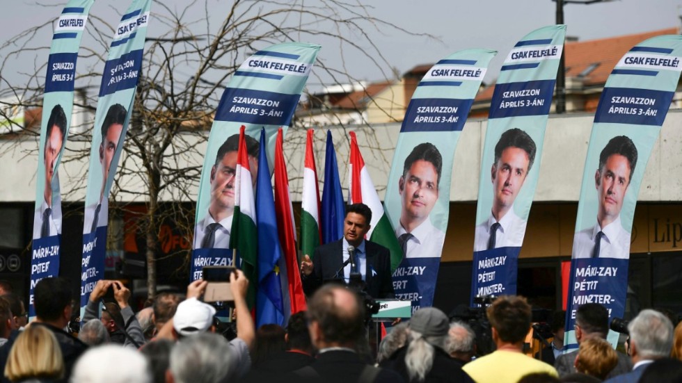 Den förenade oppositionens kandidat till premiärministerposten Peter Marki-Zay höll tal i Budapest i veckan. Det är denna koalition som behöver segra över Viktor Orbáns parti på söndagens val. 