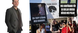 Svenskarna tycker sämst om sverigedemokrater