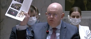 Ryska utspel i FN tillbakavisas med kraft