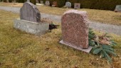 Kyrkogård ger ovårdat intryck    