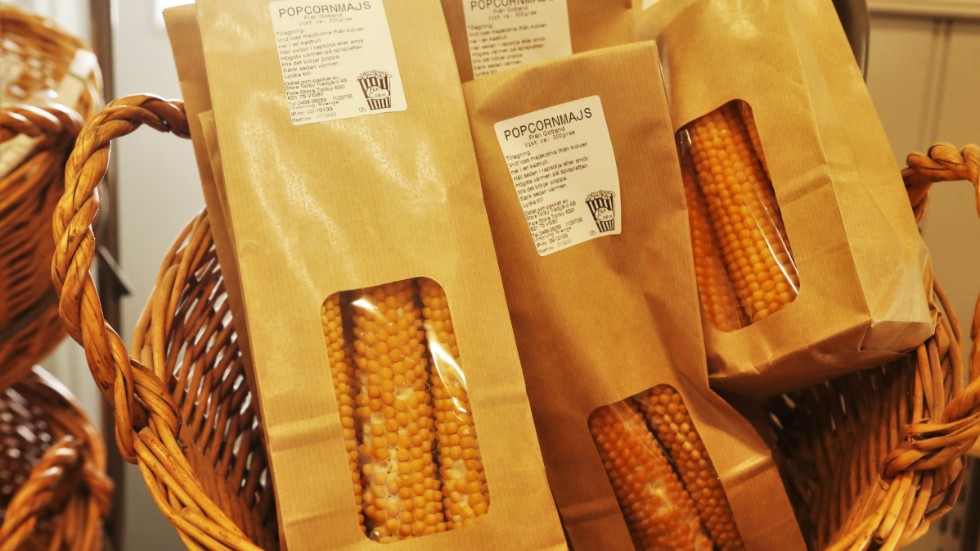 Popcornmajsen säljs som hela majskolvar och tillagas genom att vrida av majskorna från kolven ner i en kastrull.