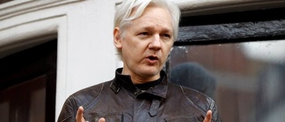Inget överklagande i Assangefallet