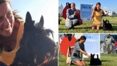  ”Var ju snyggast för dagen enligt domarna” • Jenny och Lena stod för hemmaseger i Gotland Dog Show