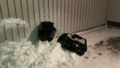 Väska med knark för över fem miljoner kronor slängdes i snön