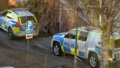 Polisinsats på Mjölkudden – flera bilar på plats