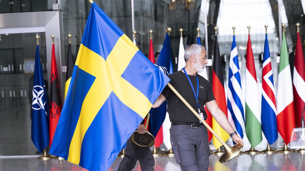 ”Nato är ingen överstatlig organisation vars beslut trumfar beslut fattade av Sveriges riksdag. Det är fortfarande våra demokratiskt valda representanter som kan och ska fatta beslut i enlighet med folkviljan.”