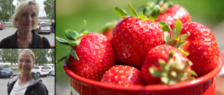 Så mycket är Luleåborna villiga att betala för jordgubbar