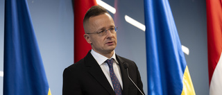 Ungersk minister om Natointräde: Timmar kvar