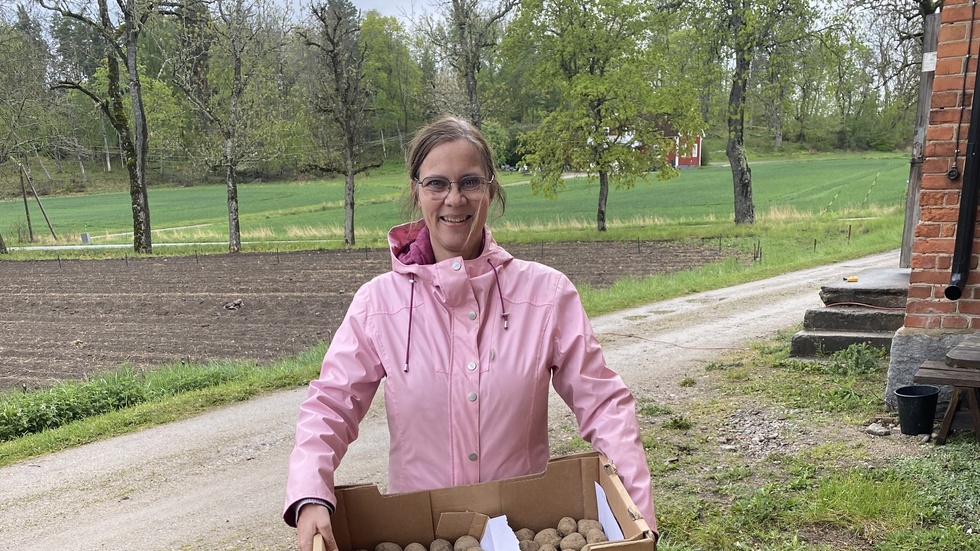 Att lära sig odla potatis är både en kul och bra kunskap. Marie Ericsson Drotte med sättpotatis.