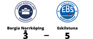 Borgia Norrköping B föll med 3-5 mot Eskilstuna