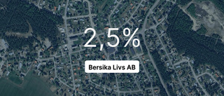 Intäkterna fortsätter växa för Bersika Livs AB