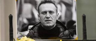 Navalnyjs advokat frihetsberövades