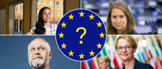 Detta vill toppkandidaterna göra om de får makten i EU – Del 1