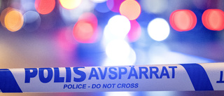 Sju gripna för vapenbrott i Stockholm