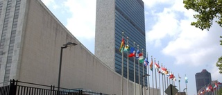 Förnyat åtagande krävs inom FN