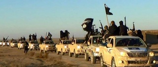 "Intensivt arbete" om IS-anhängare