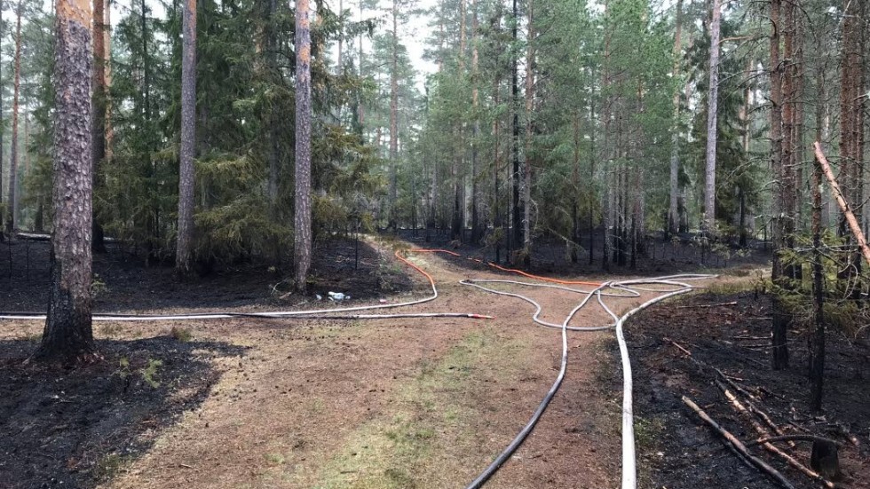 Det brann på ömse sidor om vägen, något som talar för att allt inte står rätt till.