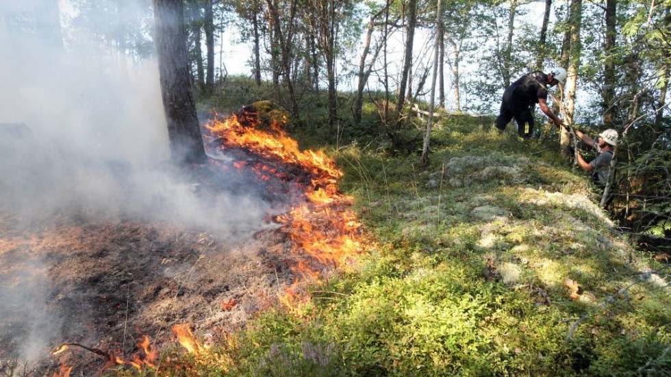 Vimmerby kommun har i sommar varit förskonade från bränder i skog och mark.