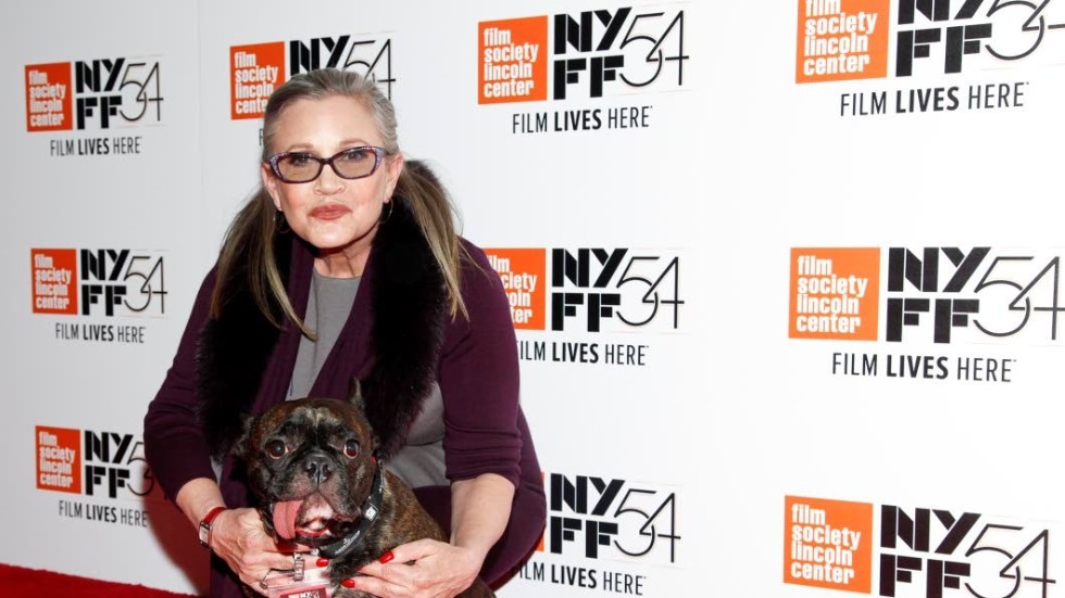 Saknad. 60-åriga Carrie Fisher, skådespelare och författare, avled tisdag 27 december i sviterna efter en hjärtattack. Här tillsammans med Gary, den franska bulldogen som följde henne överallt.