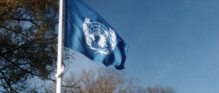 Stärkt reformarbete krävs i FN
