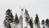 Nytt företag vill etablera vindkraftverk