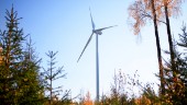 Vill bygga vindkraftpark i Norrlångträsk: "Få motstående intressen"