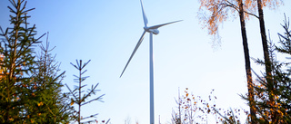 Vill bygga vindkraftpark i Norrlångträsk: "Få motstående intressen"