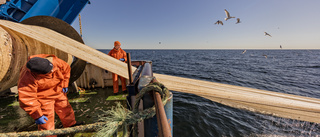 Sörmlands politiker måste driva på för hållbart fiske