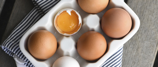Ingen oro för brist på sörmländska ägg