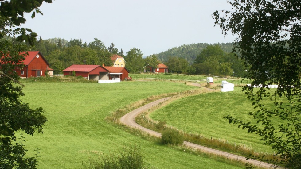 På gården Mjölkvik vid Åsunden bedriver Agri Omsorg daglig verksamhet sedan flera år.