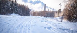 Spanskt gödsel ska ge 500 permanenta jobb i Norrbotten
