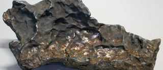 Meteoriten i Altuna kan vara både din och min