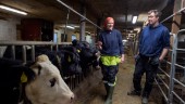 Ekobönderna som siktar på framtiden
