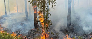 Ett hektar skog brann – bekämpades med helikoptrar