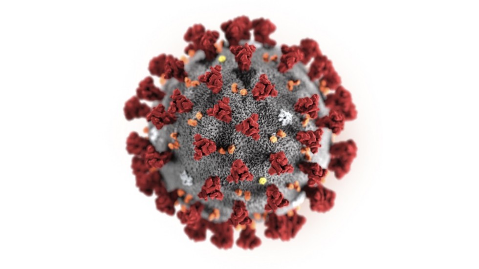 En illustration av coronaviruset. Arkivbild.