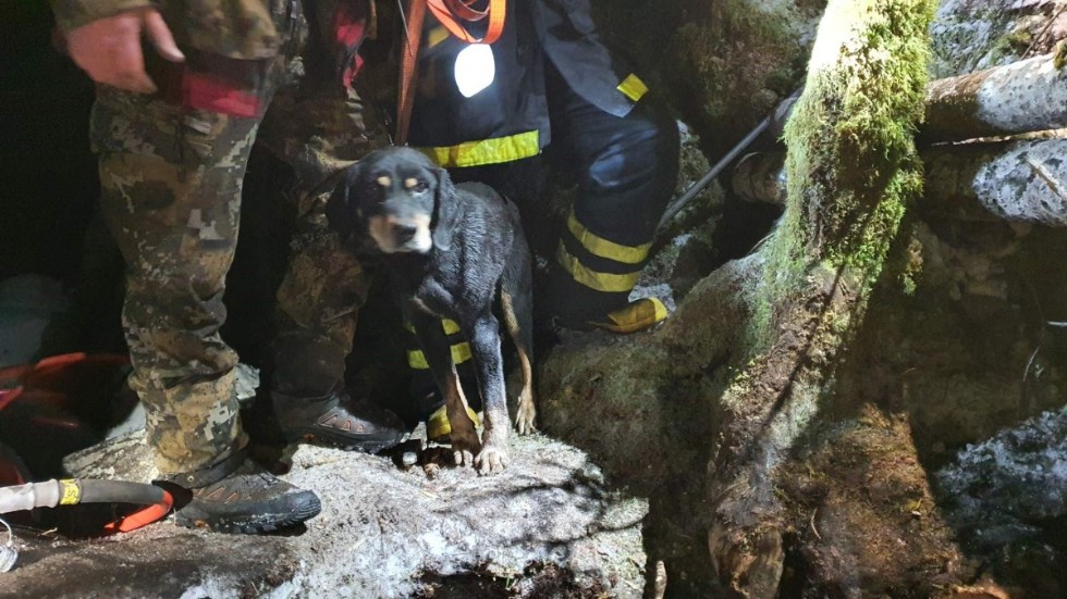En lycklig hund och husse samt personal från räddningstjänsten som kämpade i timmar. 